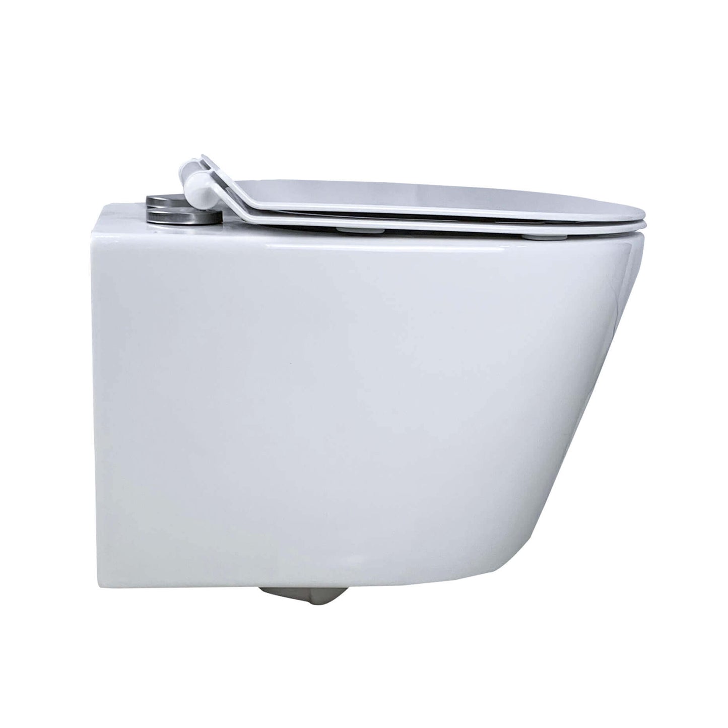 Wall Hung Toilet Glossy Dakota FF