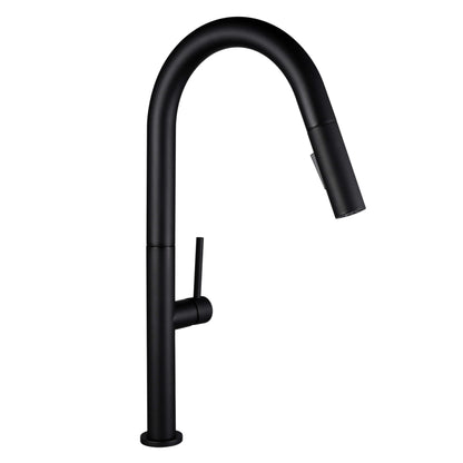 Kitchen Faucet Pull-Out FF