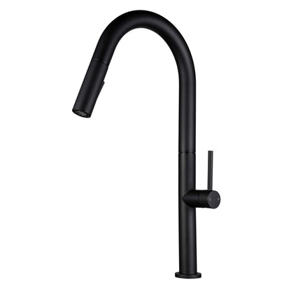 Kitchen Faucet Pull-Out FF