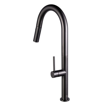 Kitchen Faucet Pull-Out FF