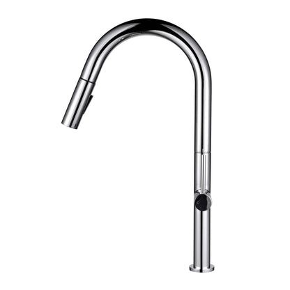 Kitchen Faucet Pull-Out FF