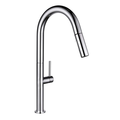 Kitchen Faucet Pull-Out FF