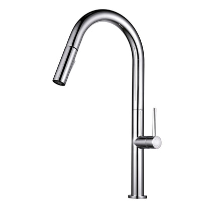 Kitchen Faucet Pull-Out FF