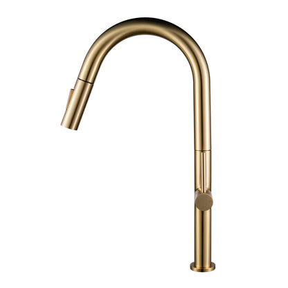 Kitchen Faucet Pull-Out FF