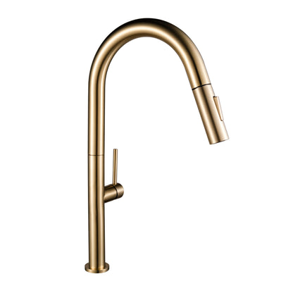 Kitchen Faucet Pull-Out FF