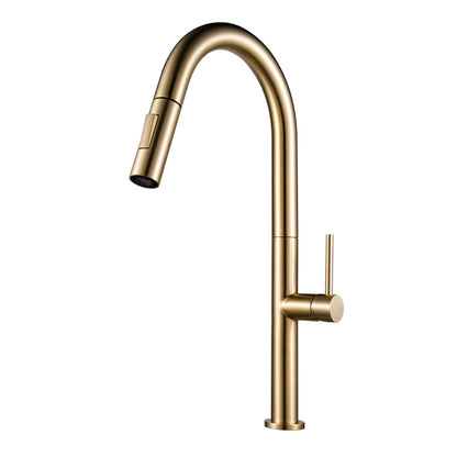 Kitchen Faucet Pull-Out FF