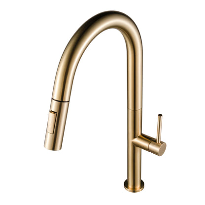 Kitchen Faucet Pull-Out FF