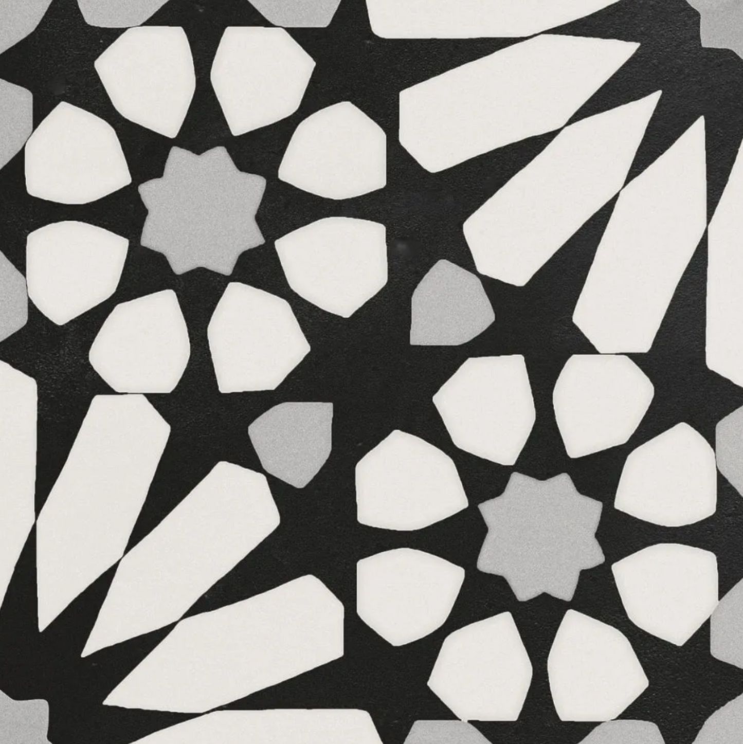 Etna Big Aster Black&White Porcelain Patterned Tile Matte 8"x8"