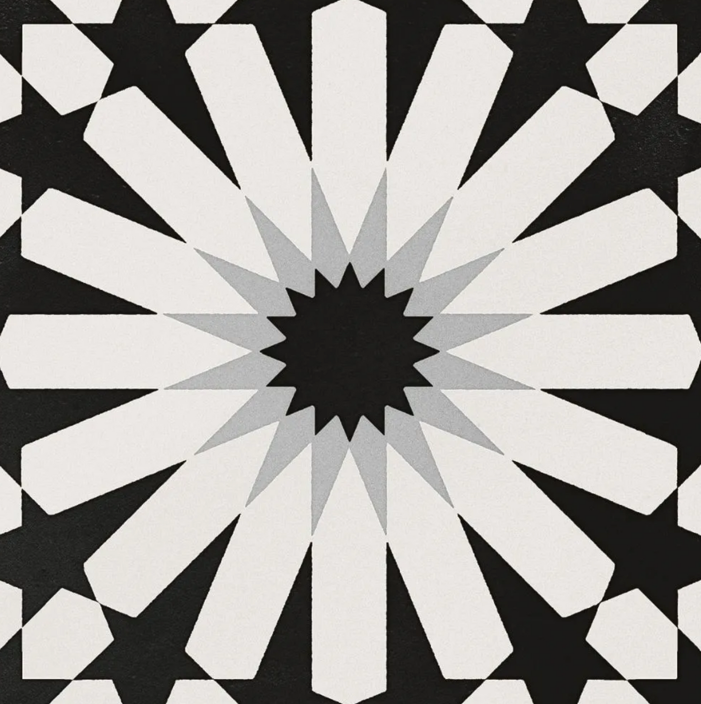 Etna Aster Black&White Porcelain Patterned Tile Matte 8"x8"