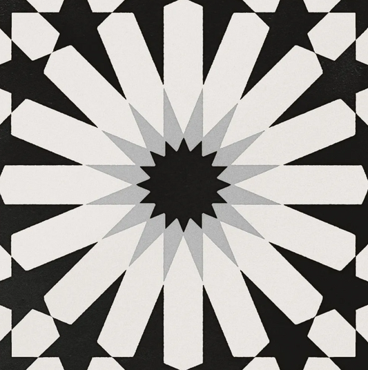 Etna Aster Black&White Porcelain Patterned Tile Matte 8"x8"