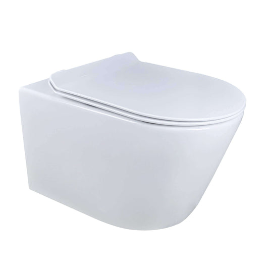 Wall Hung Toilet Glossy Dakota FF