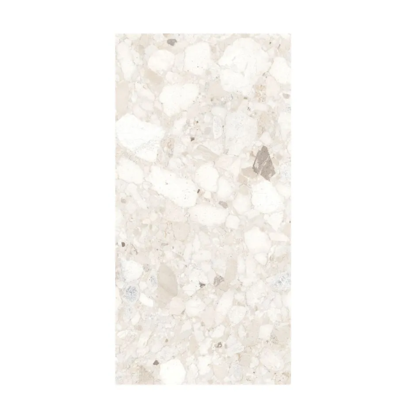 Terrazzo Tile Ivory Matte 12"x24" CS