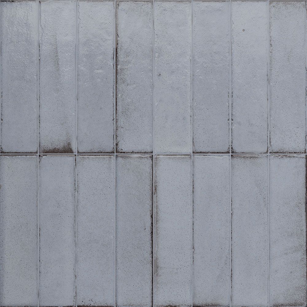 Porcelain Subway Tile Botanical Artic Glossy 2"x8"