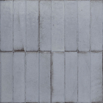 Porcelain Subway Tile Botanical Artic Glossy 2"x8"