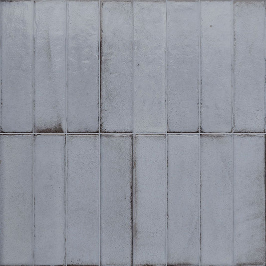 Porcelain Subway Tile Botanical Artic Glossy 2"x8"