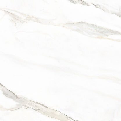 Marmo Classico Calacatta Oro Porcelain Tile Matte 12"x12"